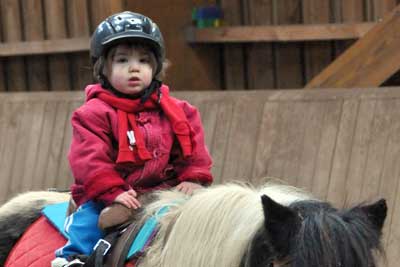 Stages Poney Vacances De Toussaint 2018